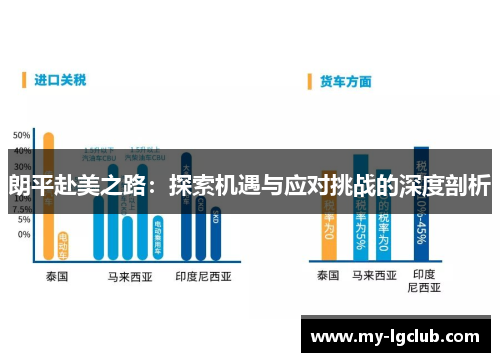 朗平赴美之路：探索机遇与应对挑战的深度剖析